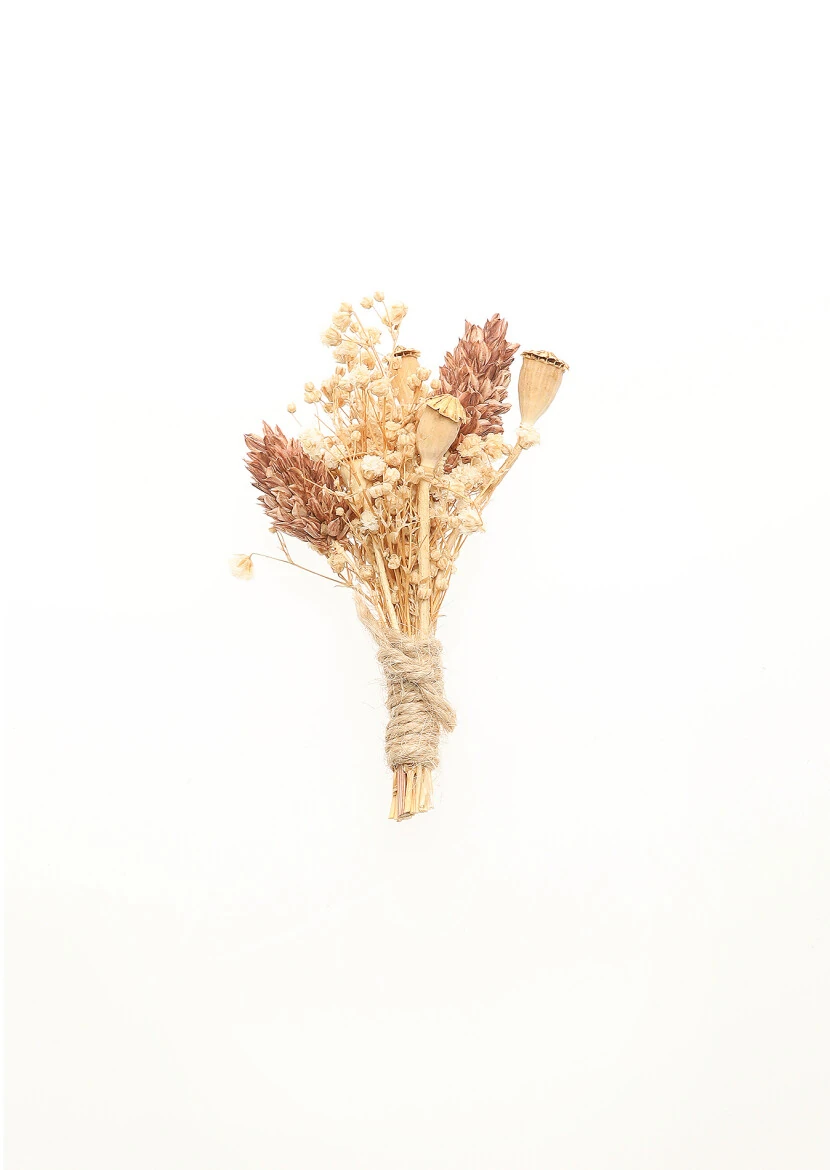 Beige Collar Flower - RAMSEY