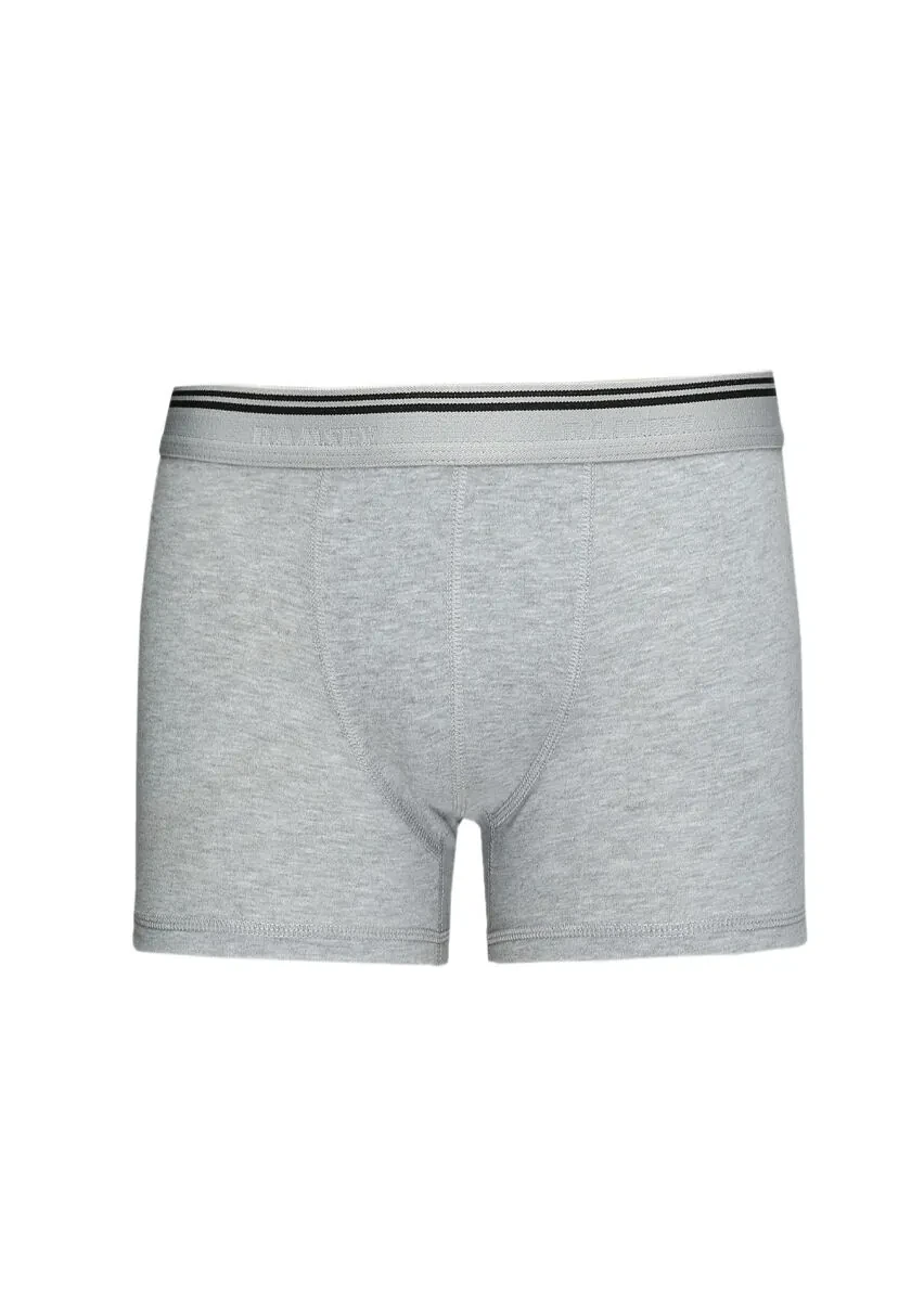 Grey Boxer - 1